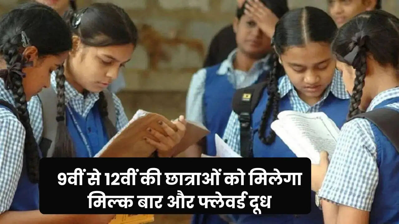 Haryana News 