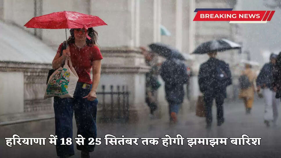 Haryana Weather Update