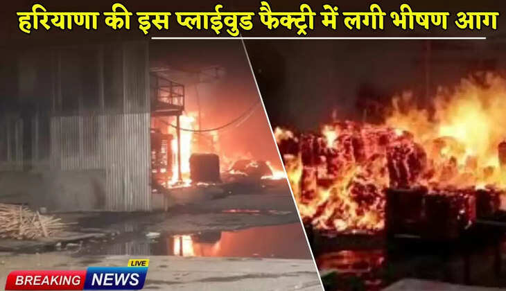 A huge fire broke out in this plywood factory in Haryana
