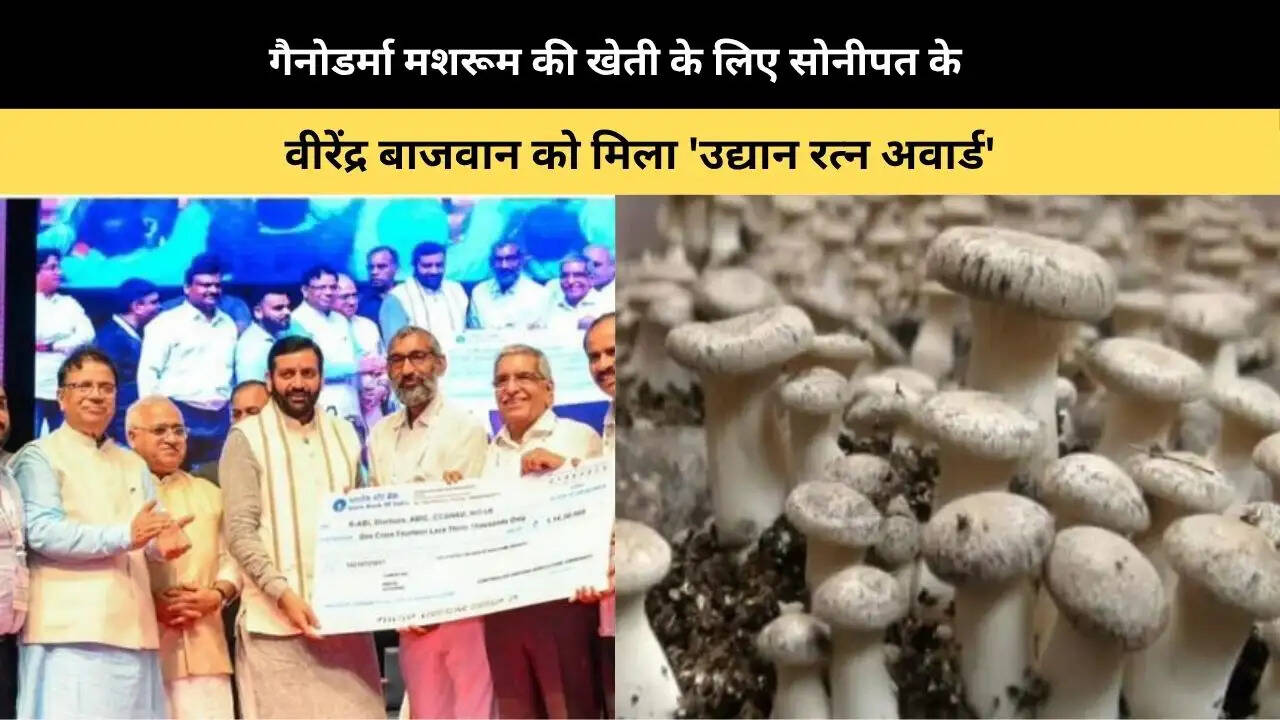 &nbsp; गैनोडर्मा मशरूम की खेती के लिए सोनीपत के&nbsp;वीरेंद्र बाजवान को&nbsp;मिला 'उद्यान रत्न अवार्ड'
