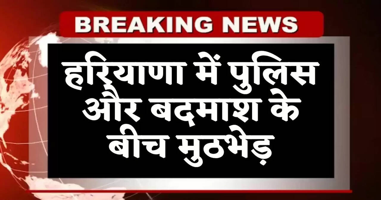 haryana news
