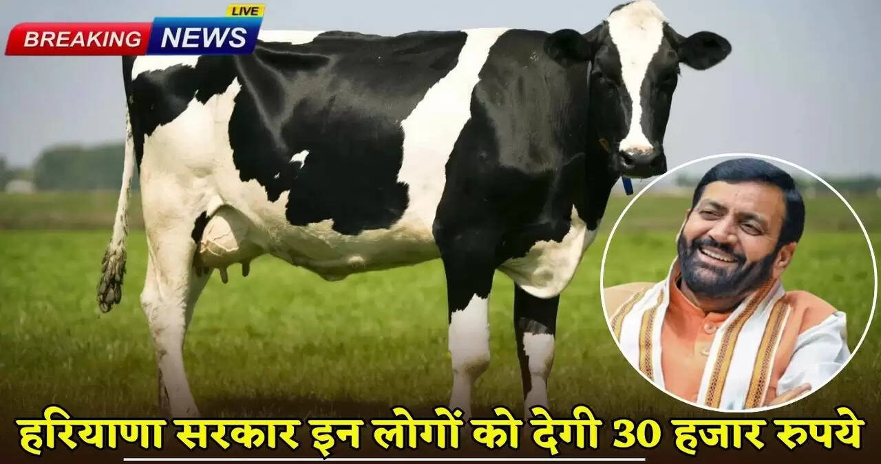 Haryana government will give 30 thousand rupees to these people