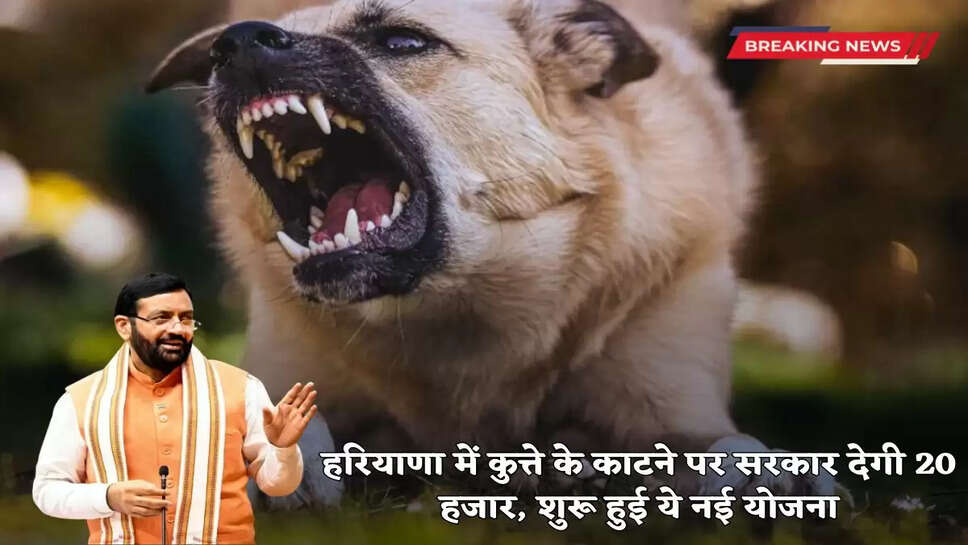 the government will give 20 thousand rupees for dog bite, this new scheme has been started