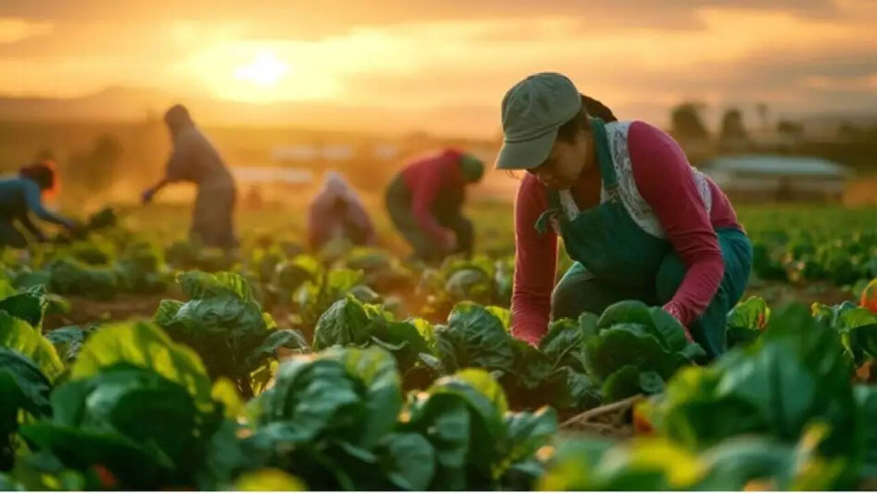 बागवानी किसानों को एकीकृत पैक हाउस और फसल समूह केंद्र पर छह करोड़ तक मिलता है अनुदान