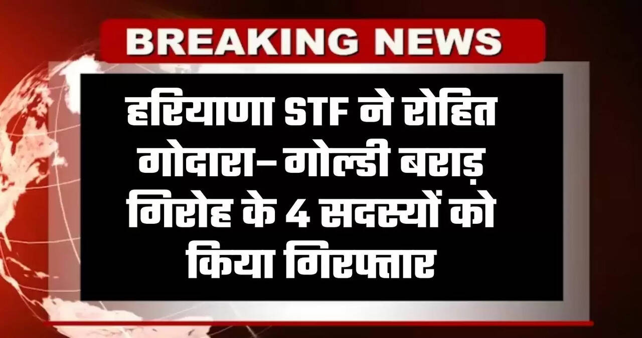 haryana stf