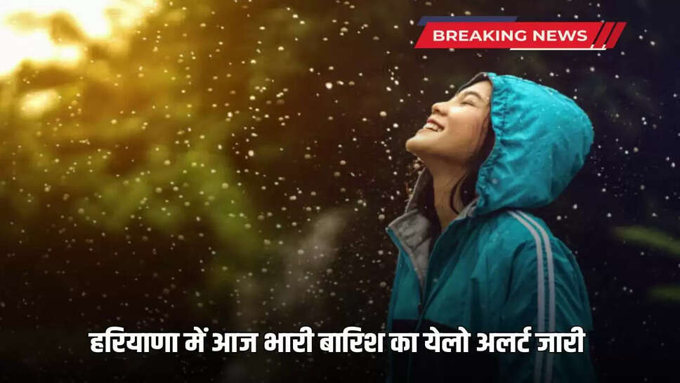 Yellow alert issued for heavy rain in 19 districts of Haryana