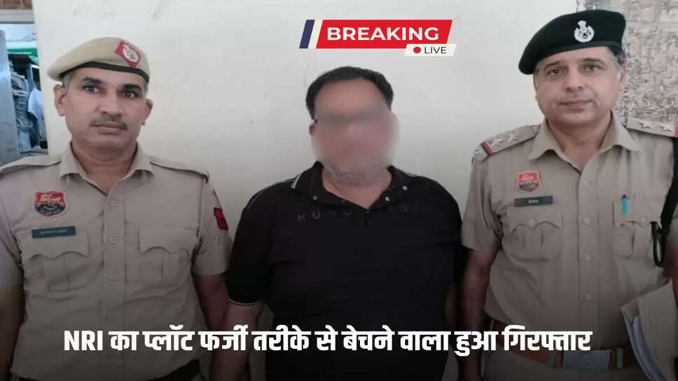 The person who sold NRI's plot fraudulently was arrested