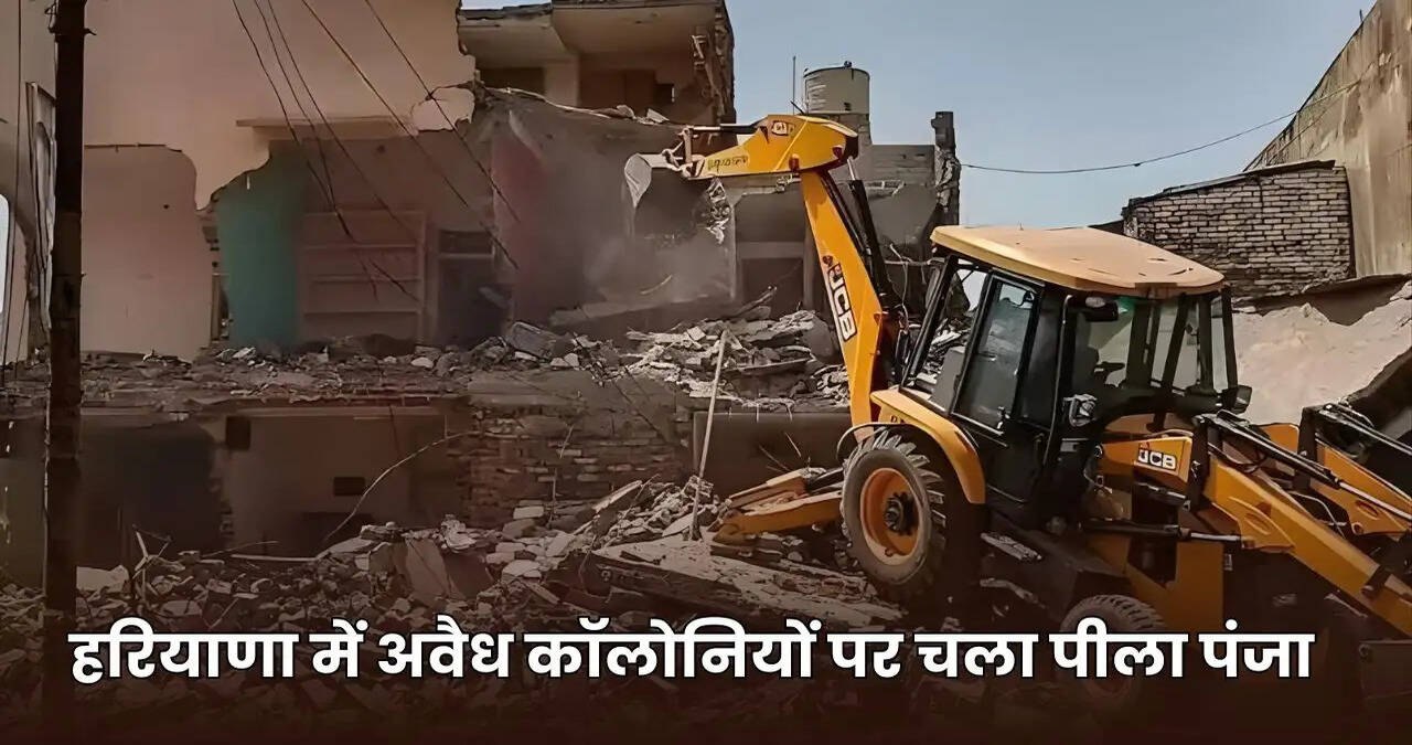 haryana news