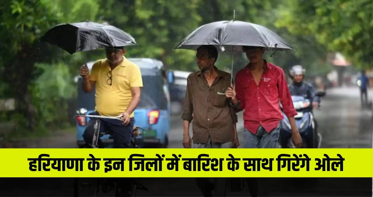 Haryana Weather update 