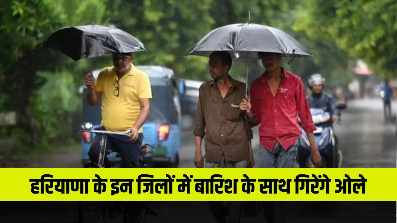 Haryana Weather update 