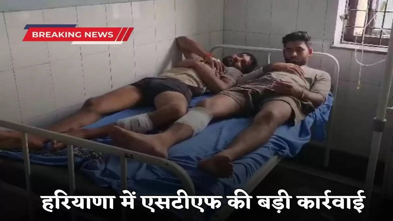 Big action of STF in Haryana