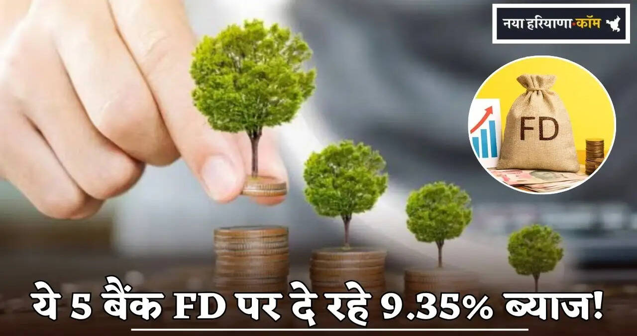 These 5 banks are offering 9.35% interest on FDs!