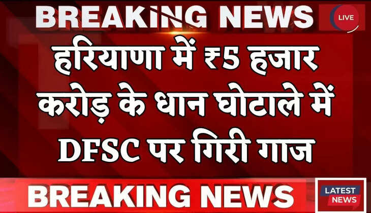 Haryana: हरियाणा में ₹5 हजार करोड़ के धान घोटाले में DFSC पर गिरी गाज, पद से हटाया 