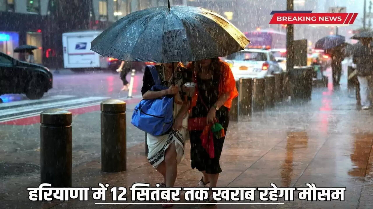 Haryana Weather Update