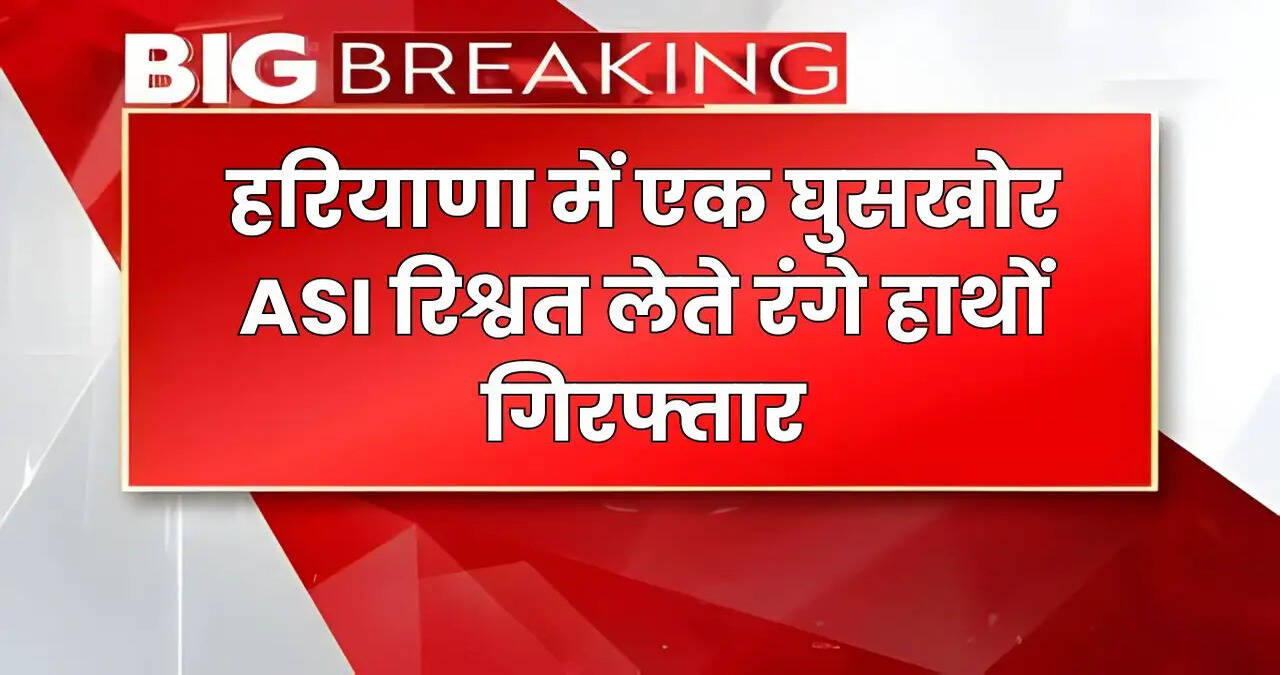 haryana news