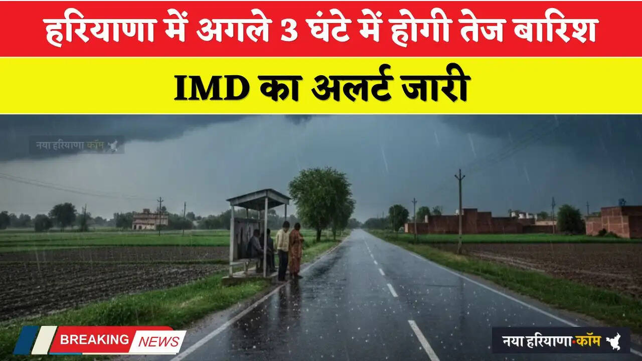 Haryana Rain Alert: हरियाणा के इन जिलों में अगले 3 घंटे में होगी तेज बारिश, IMD का अलर्ट जारी&nbsp;