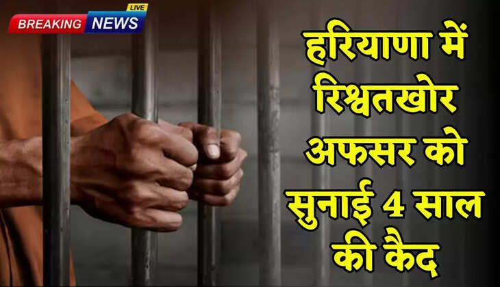 Bribe-taking officer in Haryana sentenced to 4 years imprisonment