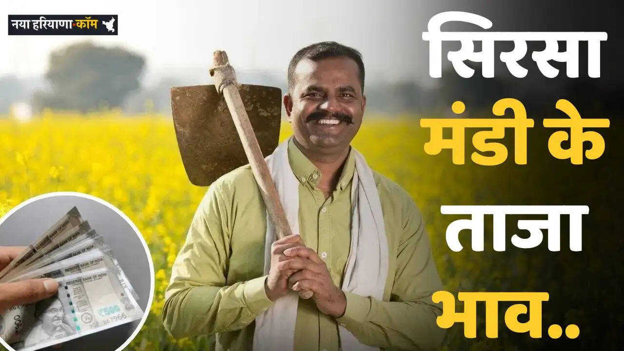 Sirsa Mandi: सिरसा मंडी के नए रेट जारी, देखें किस भाव पर बिकी सभी फसलें&nbsp;