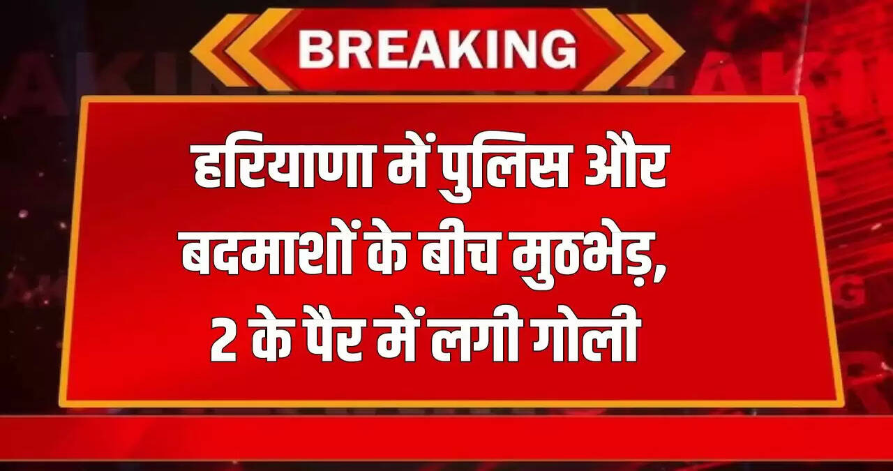 HARYANA NEWS
