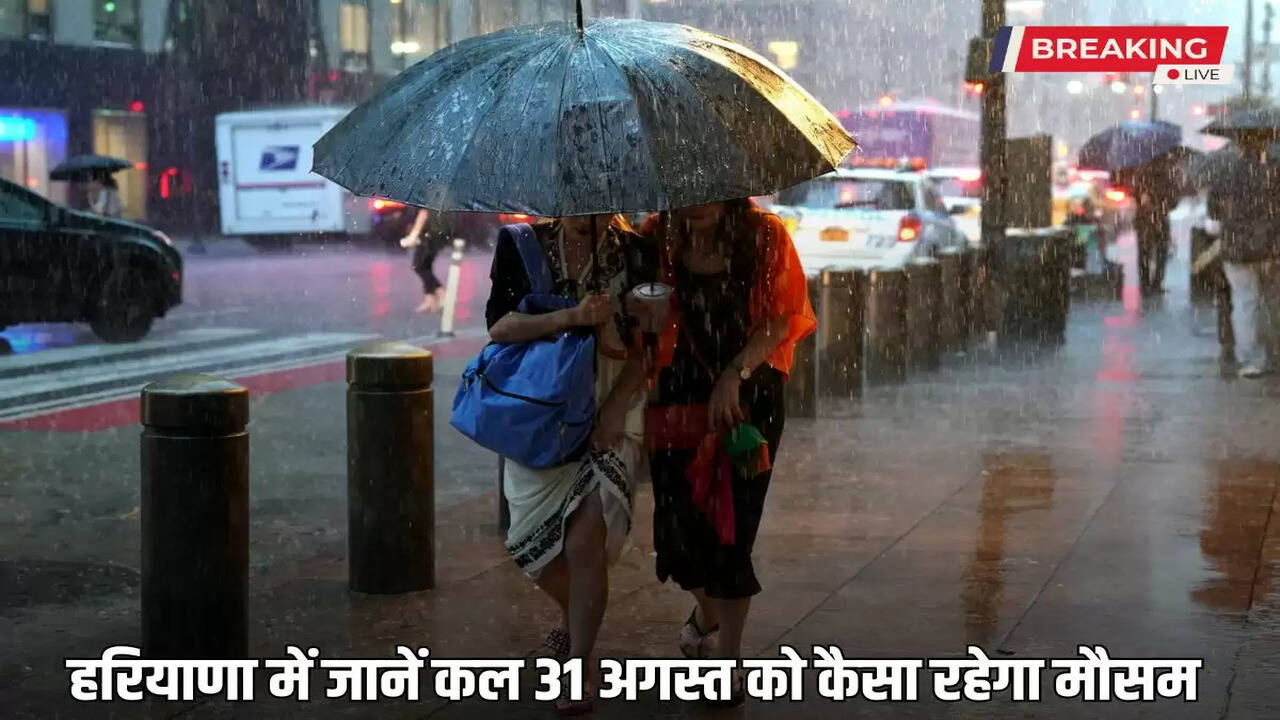 Haryana Kal Ka Mausam: जानें हरियाणा में कल कैसा रहेगा मौसम, IMD ने जारी किया अपडेट