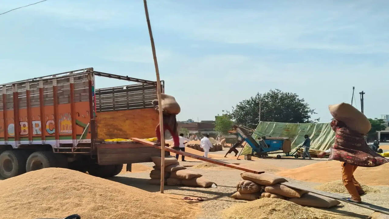 मंडियों में गेहूं लिफ्टिंग कार्य को जल्द पूरा करें अधिकारी : डीसी