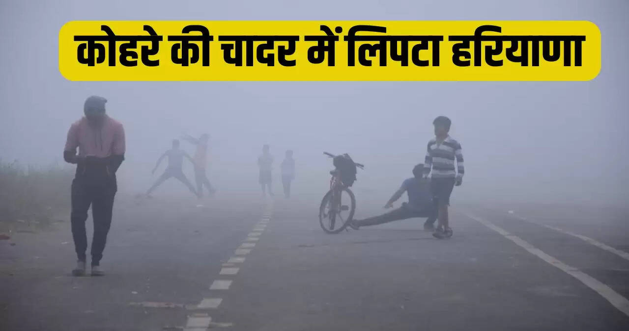 harayan weather