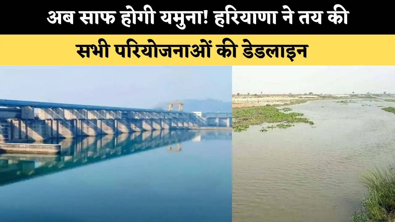 अब साफ होगी यमुना! हरियाणा ने तय की सभी परियोजनाओं की डेडलाइन 