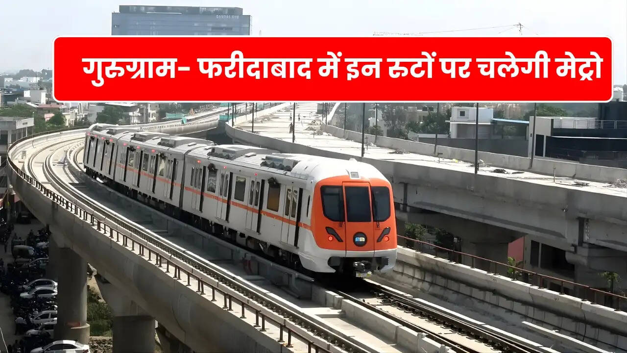 Haryana News 