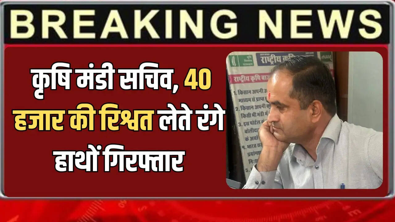 Rajasthan News: राजस्थान के नीमकाथाना में 40 हजार की रिश्वत लेते मंडी सचिव गिरफ्तार, चार दुकानों के लाइसेंस के लिए मांगी थी घूस