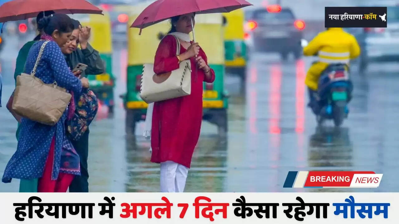 Haryana Weather: हरियाणा में अगले 7 दिन कैसा रहेगा मौसम, देखें मौसम अपडेट&nbsp;