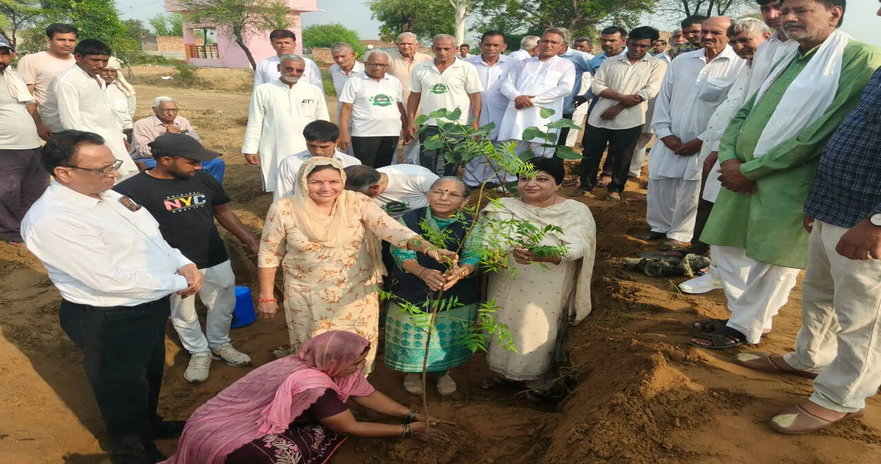 मंडलायुक्त गीता भारती ने गांव कैमरी में मां के नाम पेड़ लगाकर दिया पर्यावरण संरक्षण का संदेश