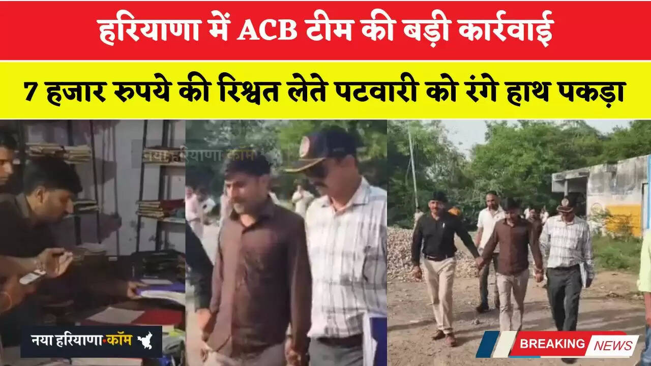 हरियाणा में ACB टीम की बड़ी कार्रवाई, 7 हजार रुपये की रिश्वत लेते पटवारी को रंगे हाथ पकड़ा&nbsp;