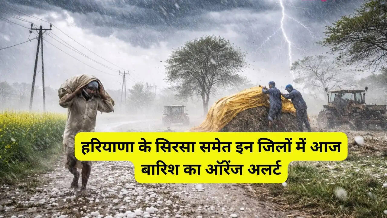 हरियाणा के सिरसा समेत इन जिलों में आज बारिश का ऑरेंज अलर्ट, ओले गिरने के आसार