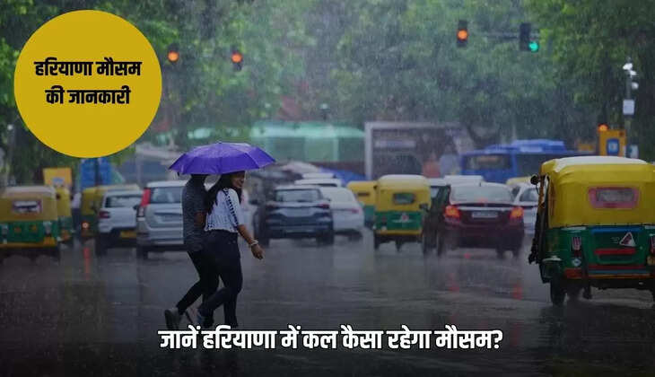 Know what will be the weather in Haryana tomorrow, heavy rain may occur in these districts