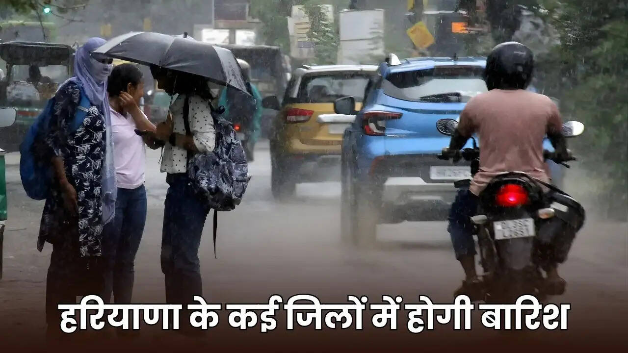 HARYANA WEATHER UPDATE