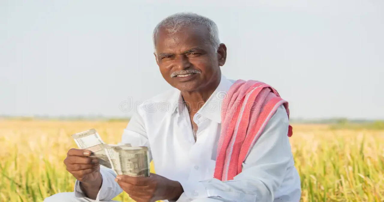 कपास किसानों के लिए हरियाणा सरकार का बड़ा फैसला,&nbsp;सूक्ष्म पोषक तत्वों व एकीकृत कीट प्रबंधन पर मिलेगा अनुदान : कृषि मंत्री
