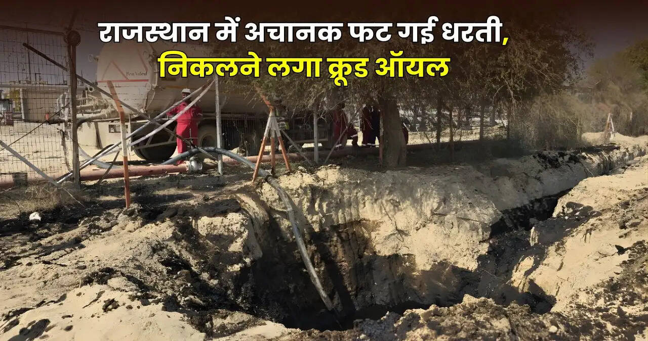 haryana news
