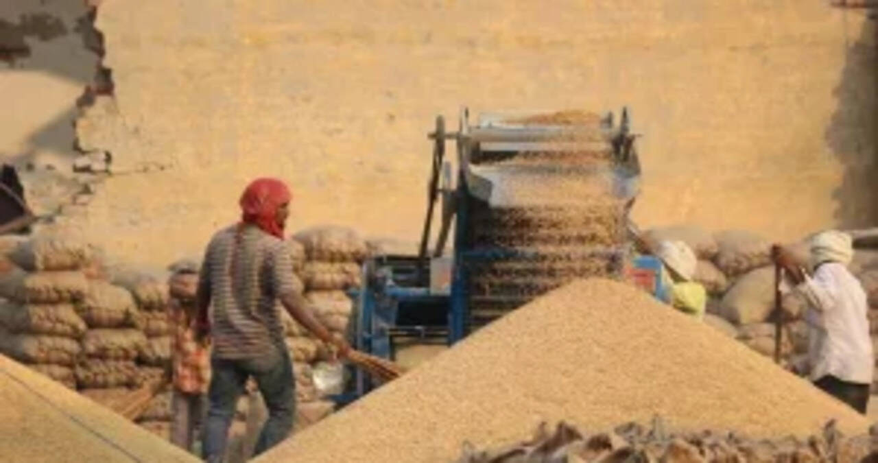 &nbsp;जिले में 1,43,023 मीट्रिक टन धान की हुई खरीद