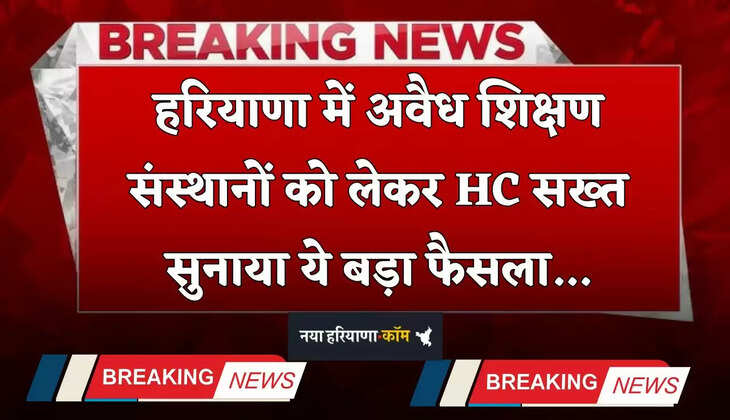 Haryana: हरियाणा में अवैध शिक्षण संस्थानों को लेकर HC सख्त, सुनाया ये बड़ा फैसला 