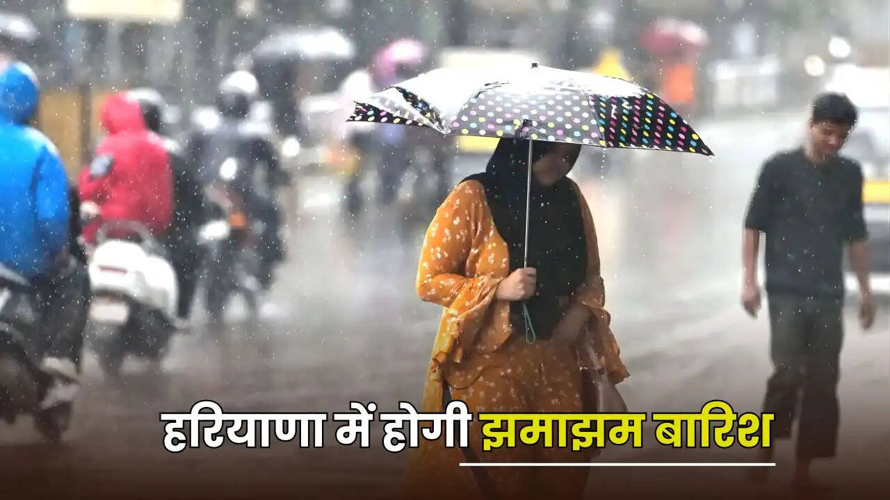 haryana weather udpate