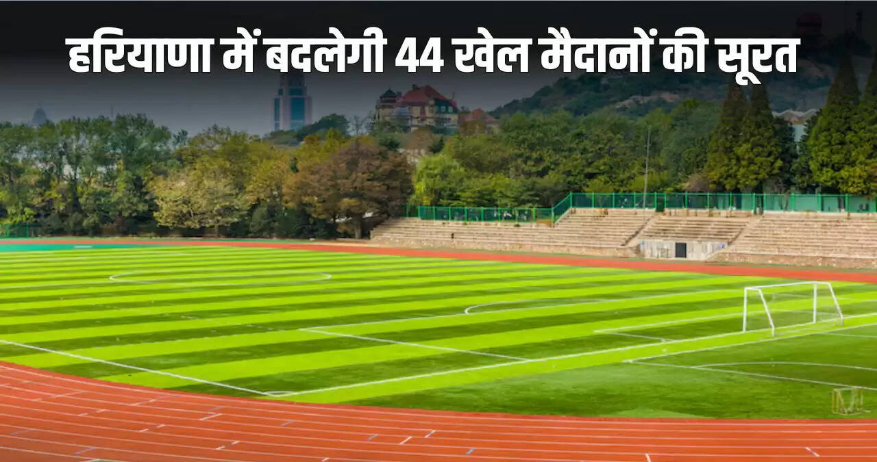 haryana news