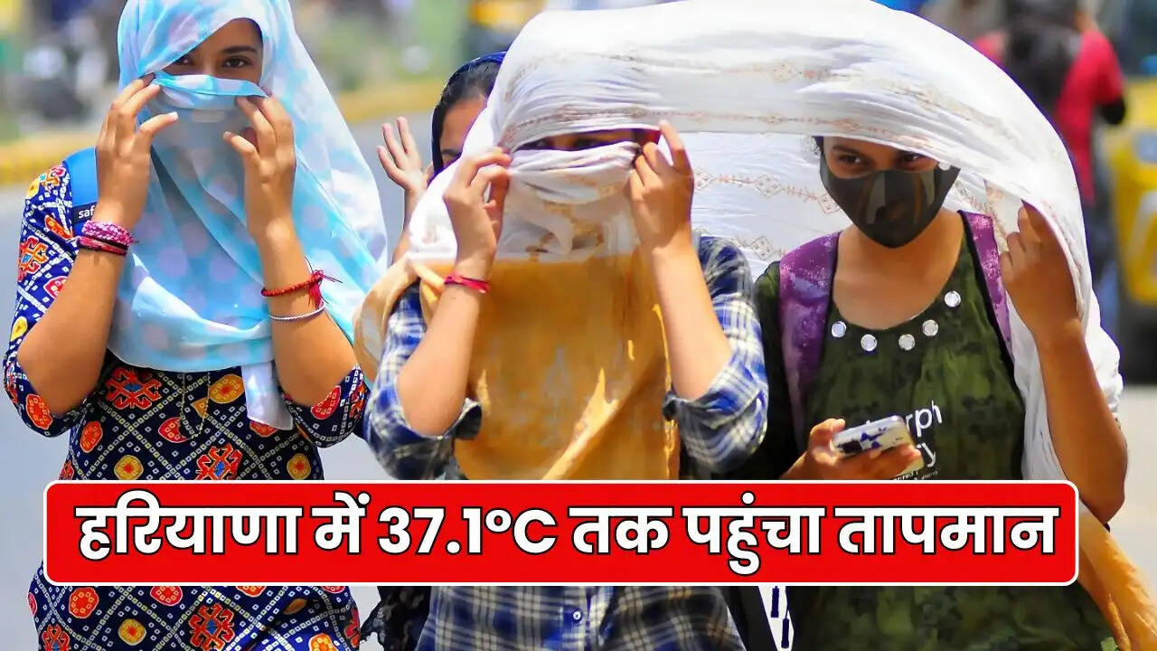 haryana weather update