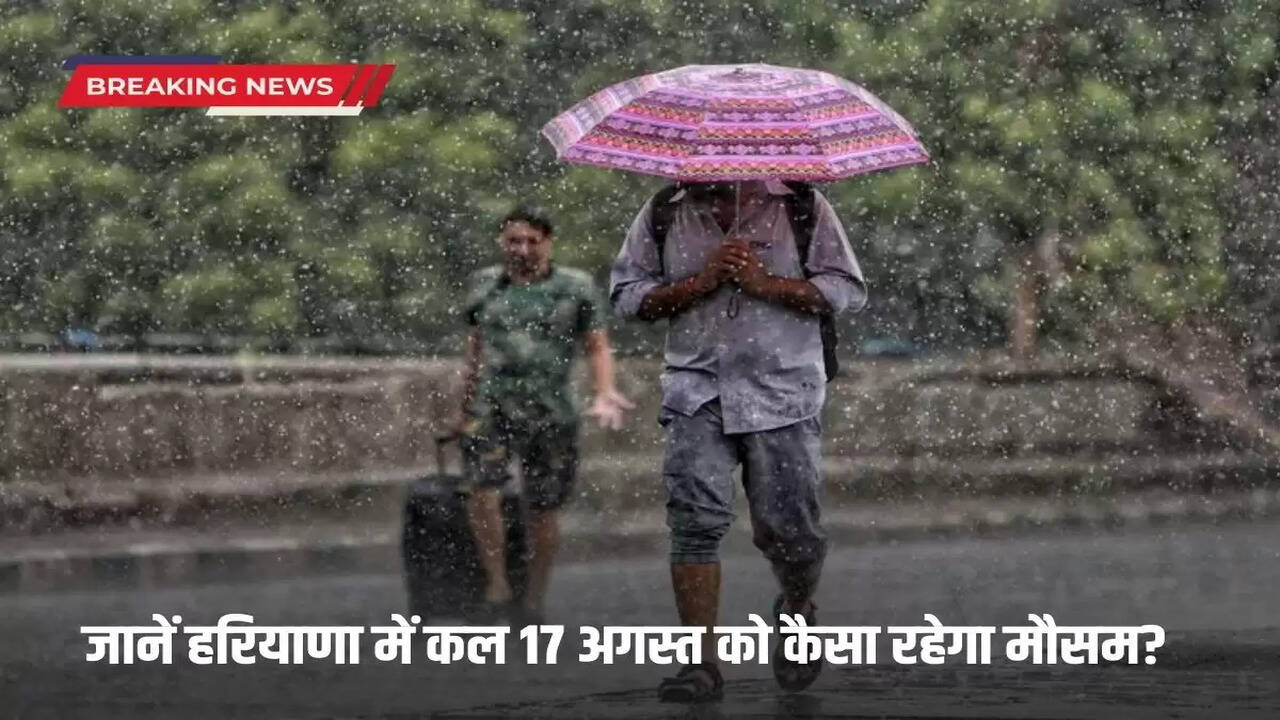  Know what will be the weather like in Haryana tomorrow, 17th August?
