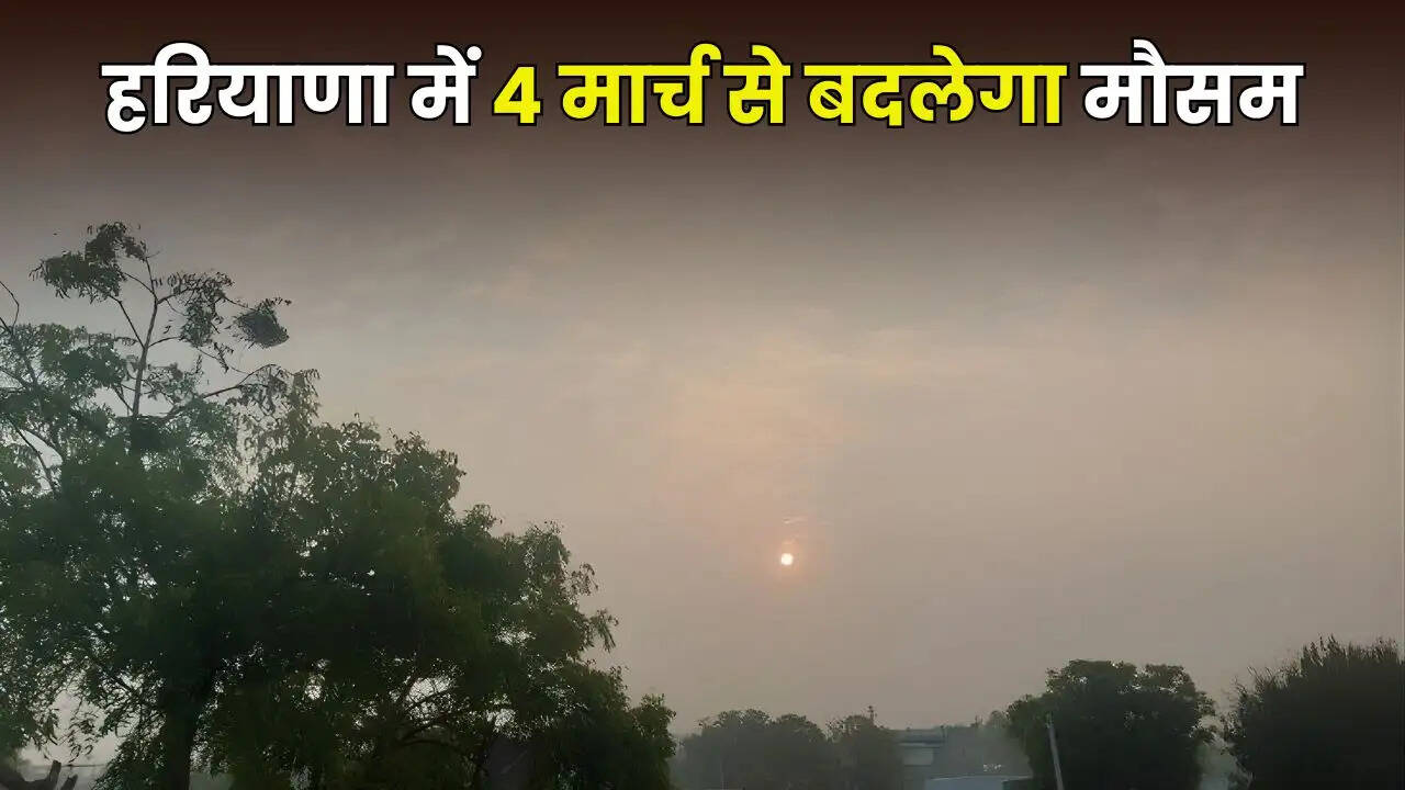 haryana weather udpate