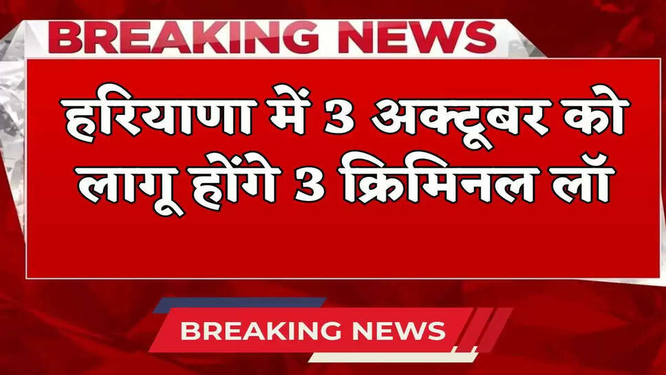 Haryana News