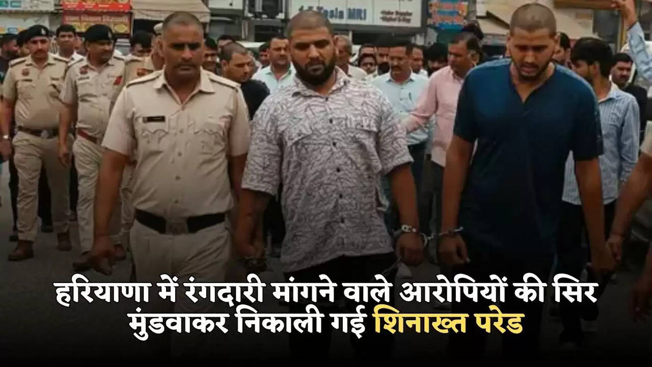 haryana news