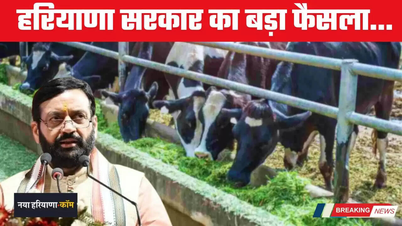 Haryana: हरियाणा में पशुपालन एवं डेयरी विभाग की अब तय समय में मिलेगी सेवाएं, सरकार का बड़ा फैसला