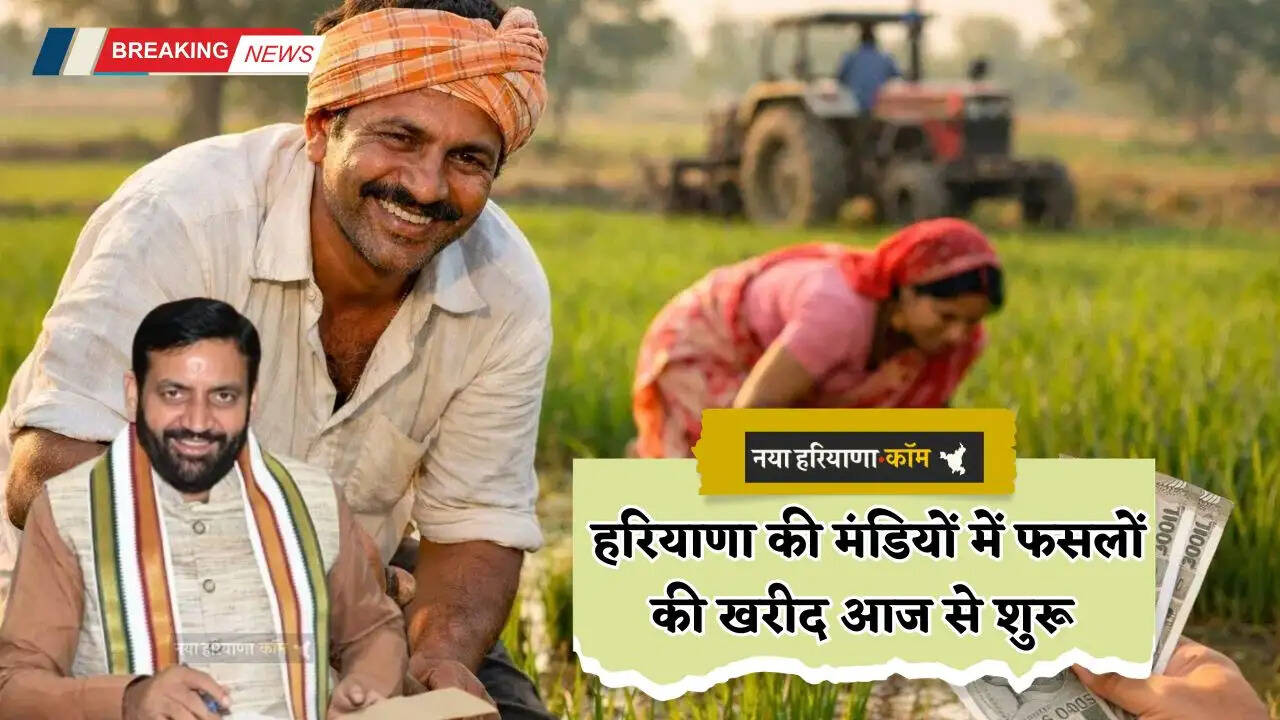 Haryana: हरियाणा की मंडियों में आज सरसों की खरीद शुरू, 1 अप्रैल से खरीदी जाएगी गेहूं&nbsp;