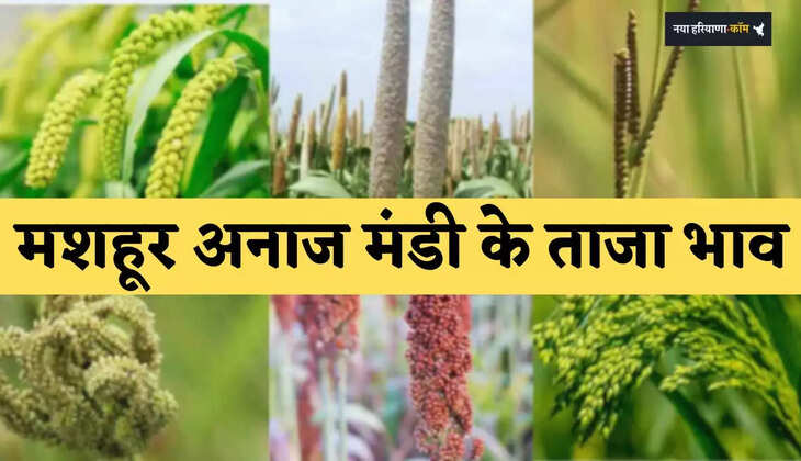 Latest prices of famous grain markets