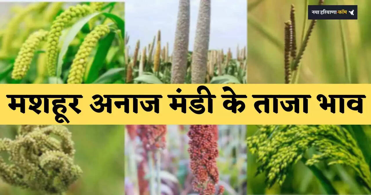 Latest prices of famous grain markets